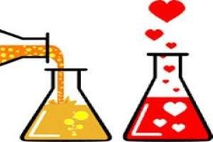 La formula química del amor