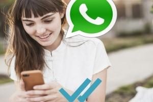 Ligar por whatsapp Ligar por whatsapp