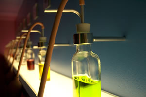 Existen perfumes con feromonas